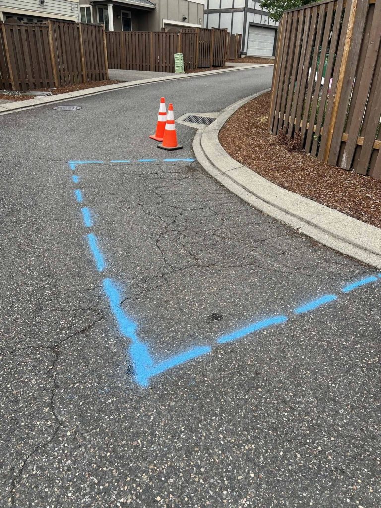 Asphalt driveway marked with blue paint for paving maintenance work, with safety cones set near a residential complex.